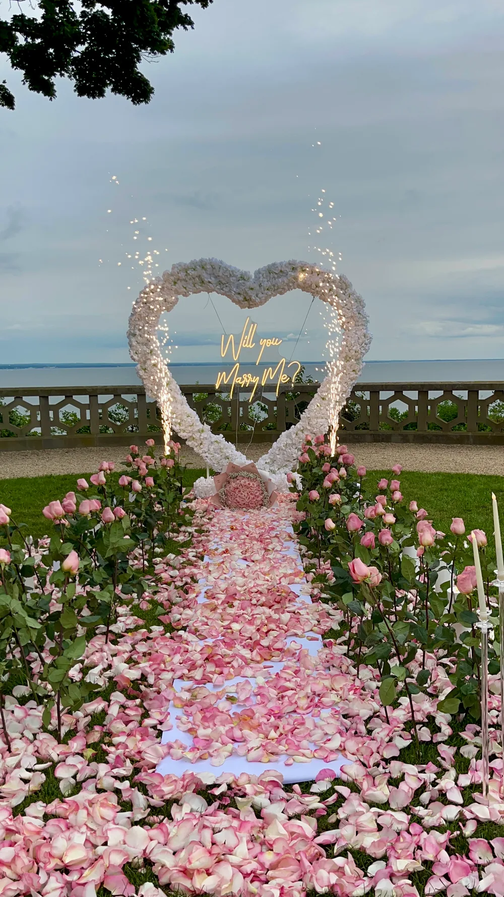A blush rose heart on a lawn above the water at dusk, a pink petal aisle between beds of roses